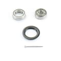 ABS rear wheel bearing set