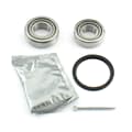 Conjunto de rolamentos de roda traseira ABS