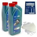 3L Ford Castrol Magnatec Professional 0W30 D