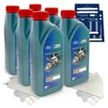 6L Ford Castrol Magnatec Professional 0W30 D