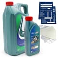 6L Ford Castrol Magnatec Professional 0W30 D