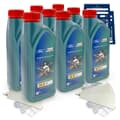 8L Ford Castrol Magnatec 5W30 A5