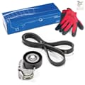 SKF Keilrippenriemen Satz