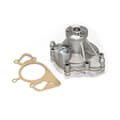 SKF Wasserpumpe + Dichtung