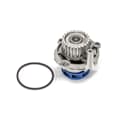 SKF Wasserpumpe + Dichtung