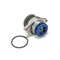 SKF Wasserpumpe + Dichtung