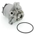 SKF Wasserpumpe + Dichtung
