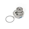 SKF Wasserpumpe + Dichtung