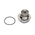 SKF Wasserpumpe + Dichtung