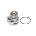 SKF Wasserpumpe + Dichtung