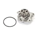 SKF Wasserpumpe + Dichtung