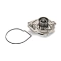 SKF Wasserpumpe + Dichtung