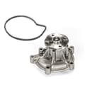 SKF Wasserpumpe + Dichtung