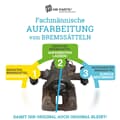 Aufarbeitung Bremssattel hinten