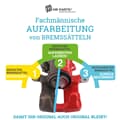 Aufarbeitung Bremssattel hinten