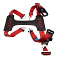 ACEBIKES Tyrefix Pro 500daN with 2 lashing straps for every motorcycle tire size