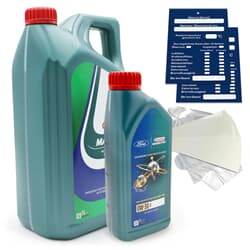 6L Ford Castrol Magnatec Professional 0W30 D
