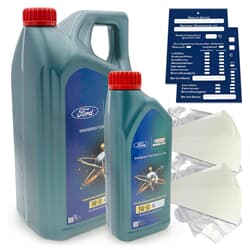 6L Ford Castrol Magnatec 5W30 A5