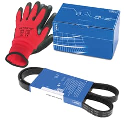 SKF Keilrippenriemen Satz