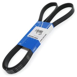 SKF Keilrippenriemen Satz