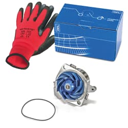SKF Wasserpumpe + Dichtung