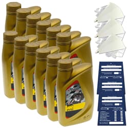 12 Liter Agip Eni i-Ride Racing 2T Motoröl